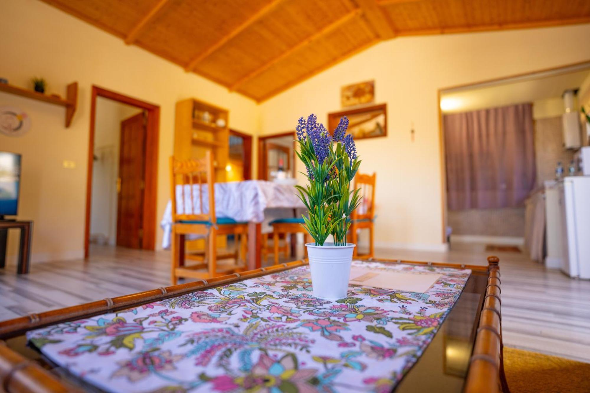 Casa Rural Buda Terra Santa Cruz de Tenerife Exterior photo
